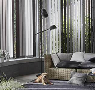 Store californien gris